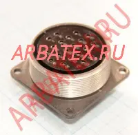 СШР48П20ЭГ2 розетка